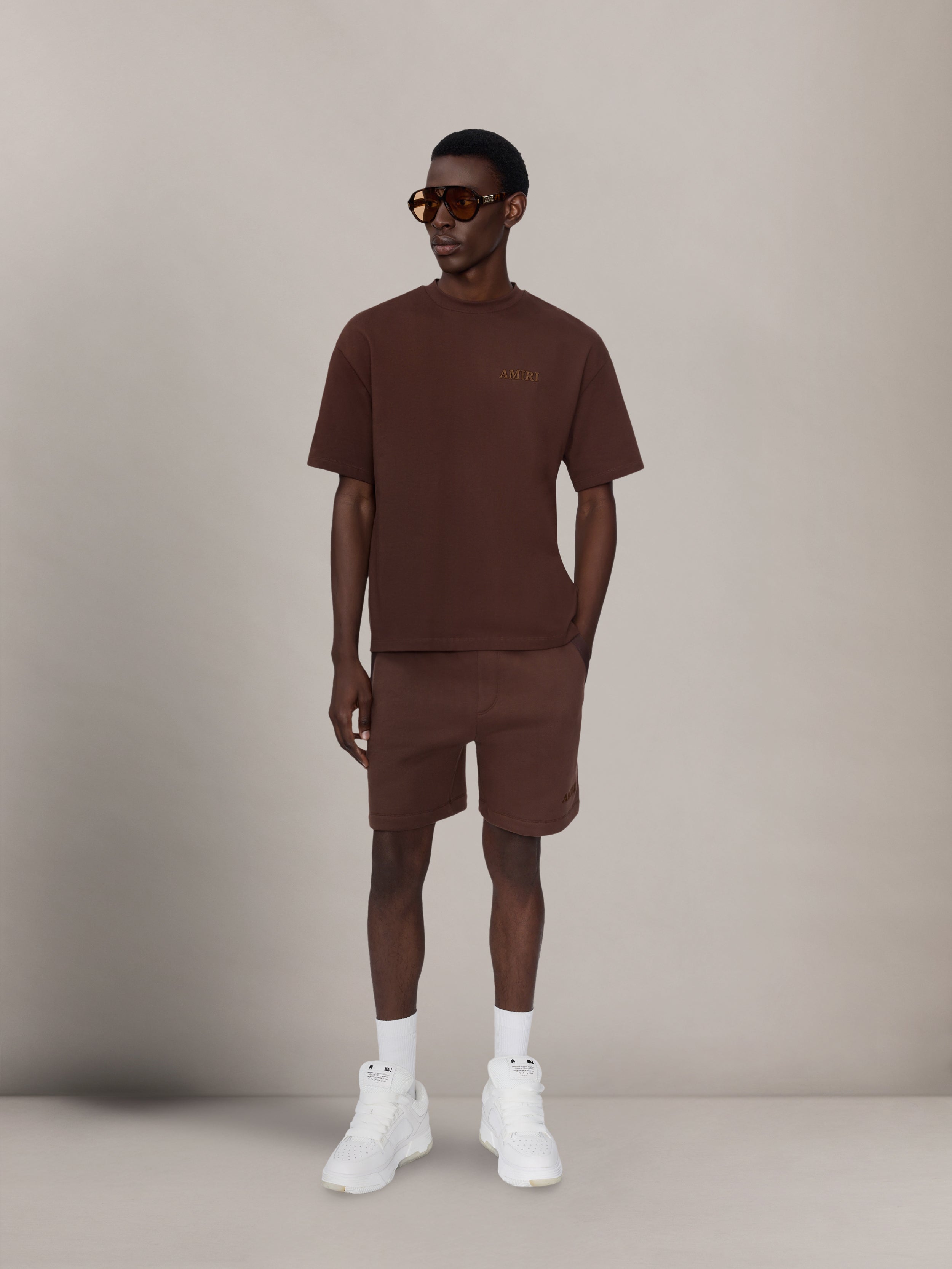 AMIRI Tシャツ ブラウン AMIRI OVERSIZED TEE - WALNUT BROWN | AMIRI