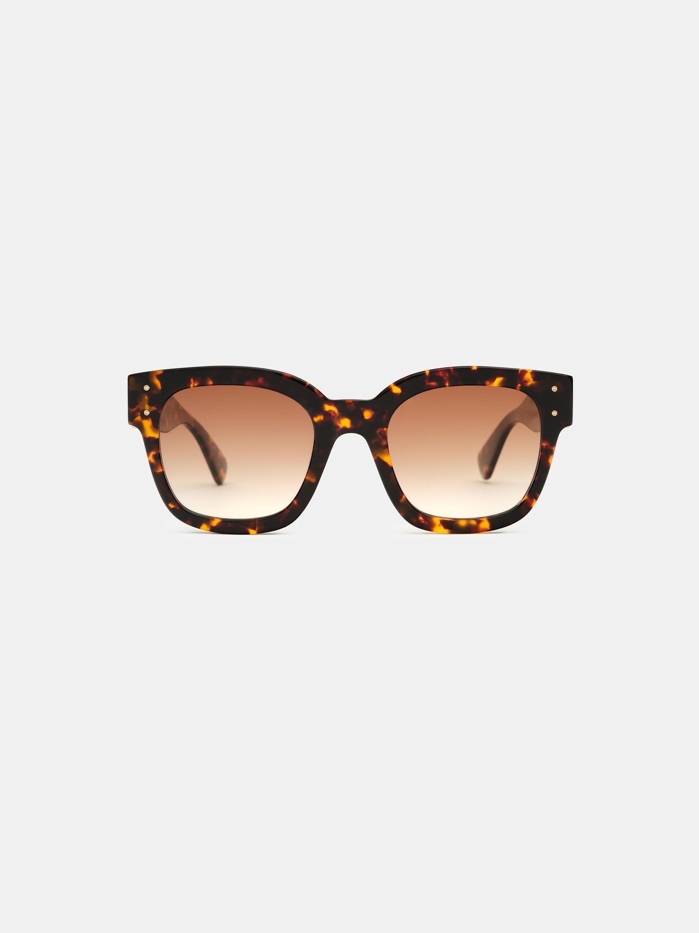 CLASSIC MA SUNGLASSES - Tortoise Shell