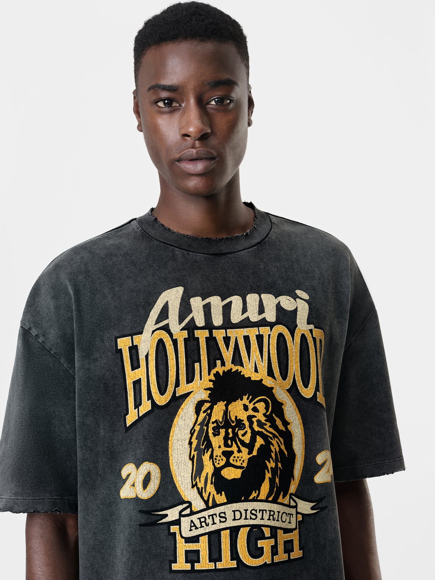 AMIRI HIGH LION SKATER TEE - Black