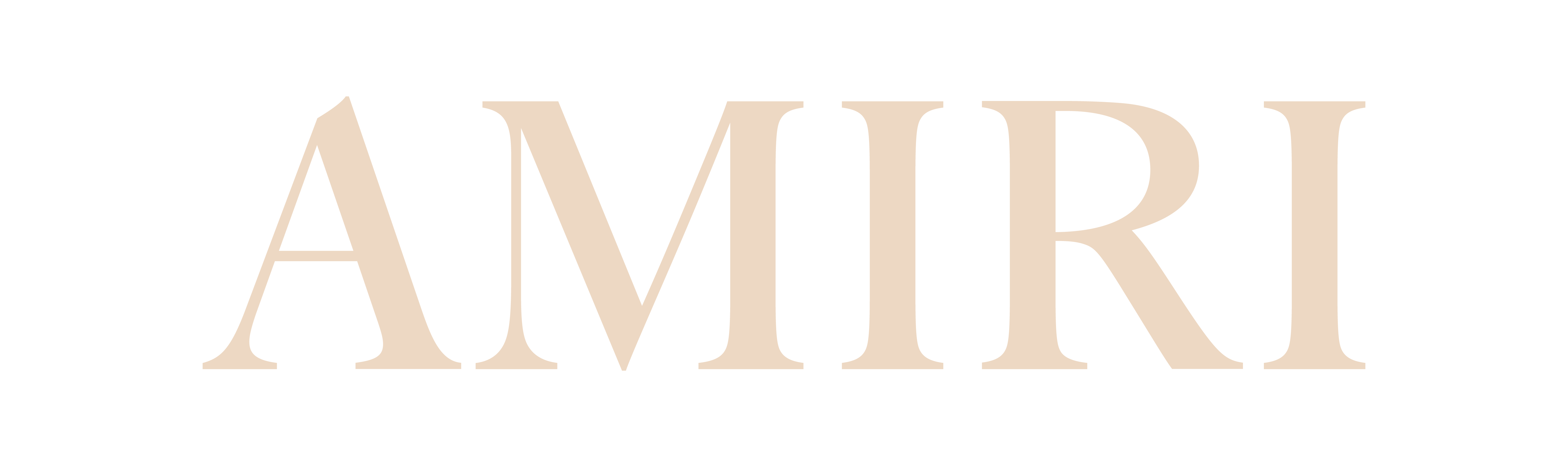 AMIRI product