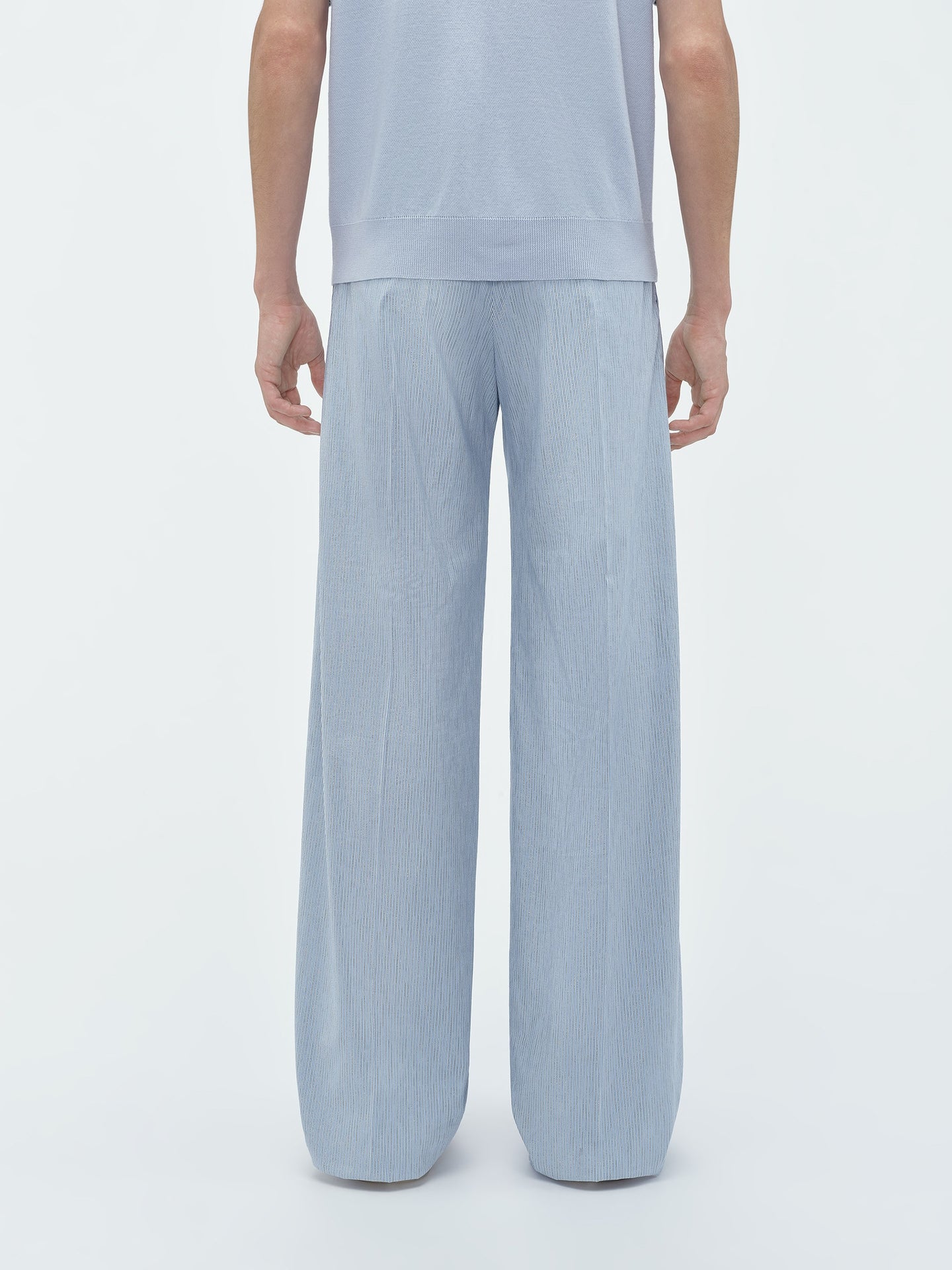 SHIMMER STRIPE DOUBLE-PLEATED PANT - Ashley Blue