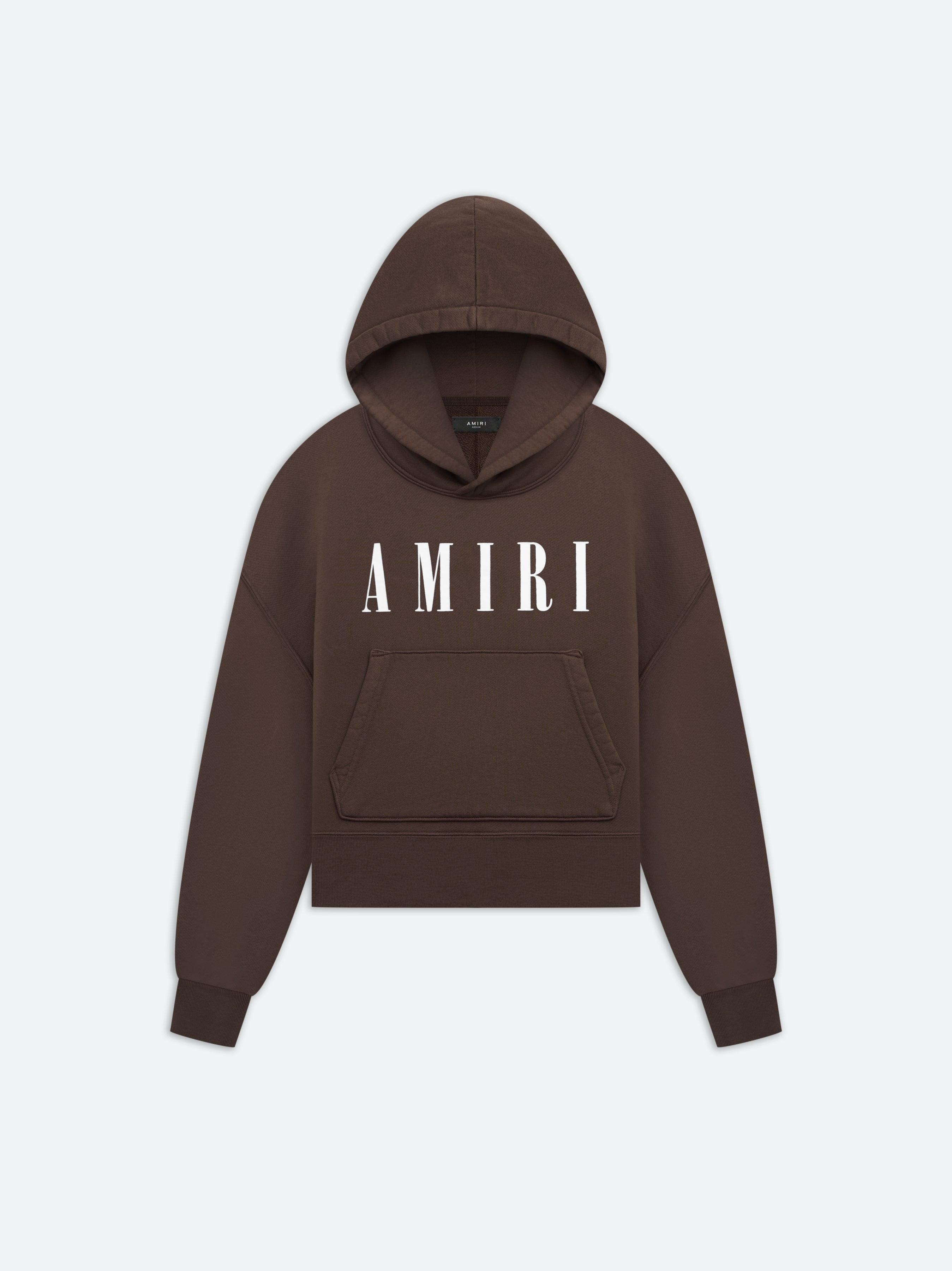 Product WOMEN - CORE LOGO HOODIE - Brown featured image
