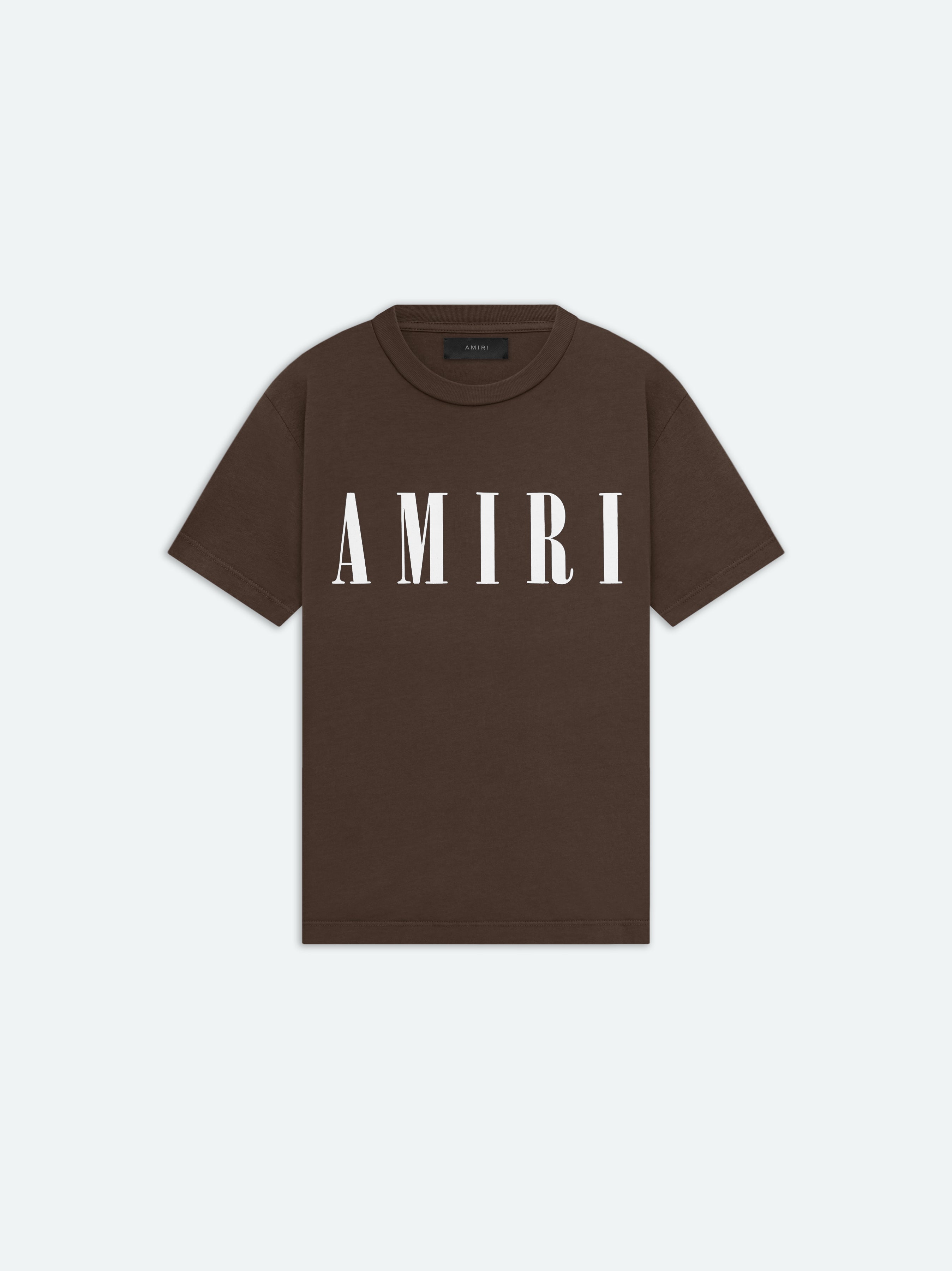 Product WOMEN - CORE LOGO SLIM FIT TEE - Brown featured image